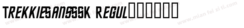 TrekkieSansSSK Regul字体转换